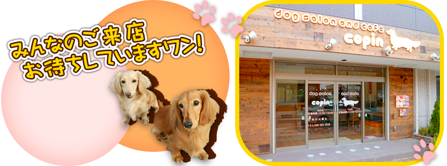 三郷中央駅　徒歩3分|ドッグサロンandカフェCopin|Dogsalon&Cafe COPIN